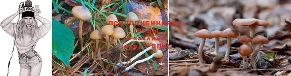 дурь Мегион