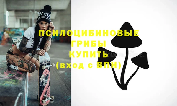 spice Медвежьегорск