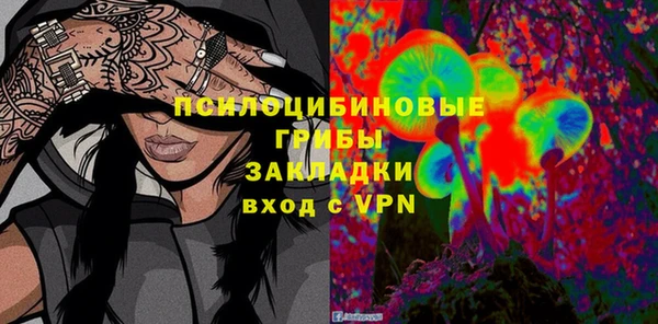 дурь Мегион