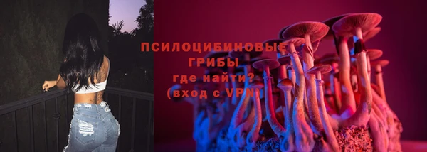 дурь Мегион