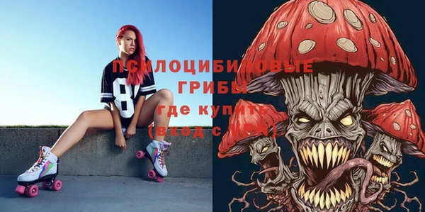 spice Медвежьегорск