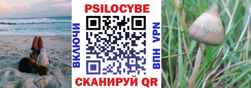 Псилоцибиновые грибы прущие грибы  закладки  нарко площадка формула  Ермолино 